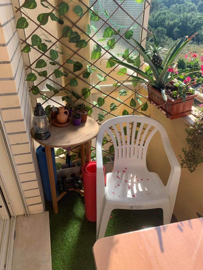 Suite Vintage Valongo  Extérieur photo
